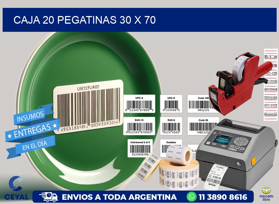 CAJA 20 PEGATINAS 30 x 70