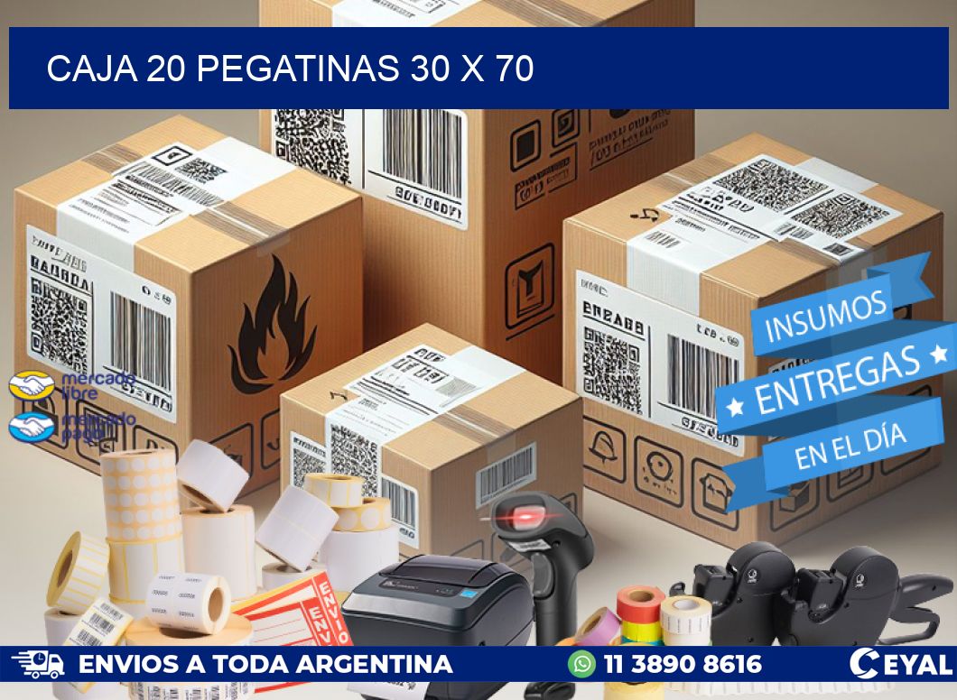 CAJA 20 PEGATINAS 30 x 70