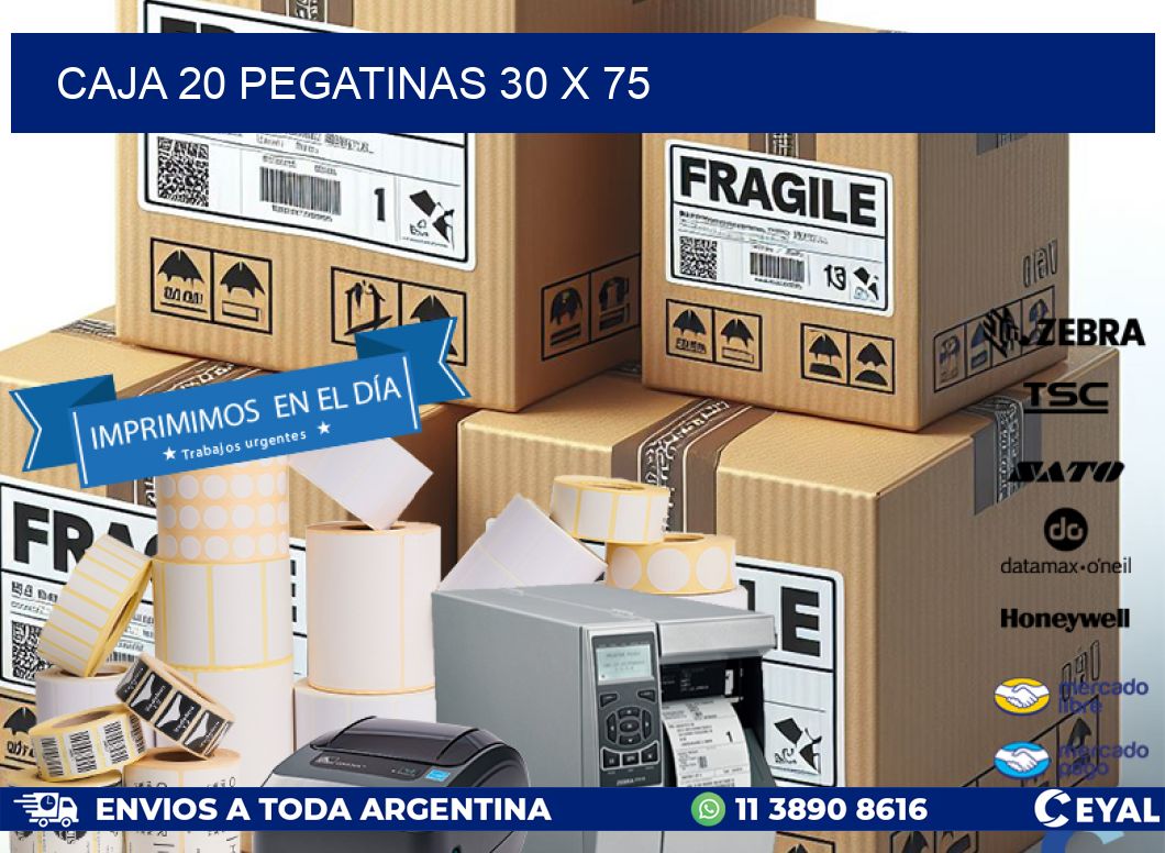 CAJA 20 PEGATINAS 30 x 75