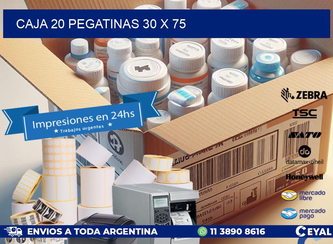 CAJA 20 PEGATINAS 30 x 75