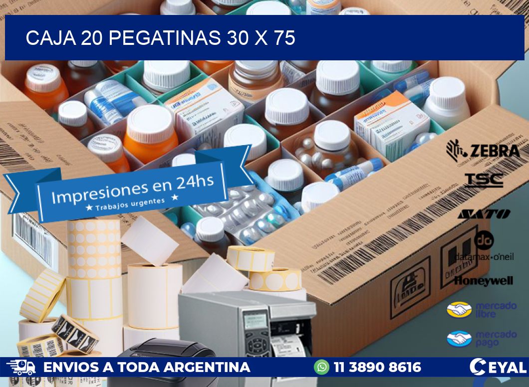 CAJA 20 PEGATINAS 30 x 75