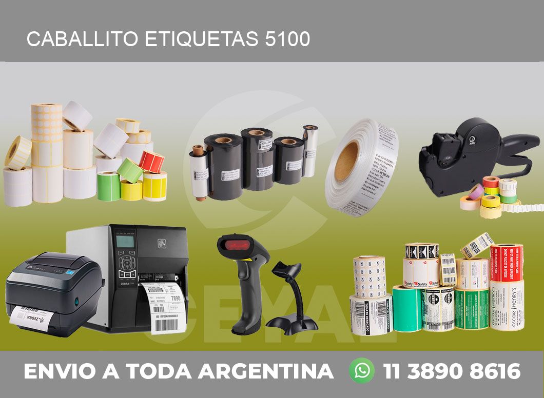 Caballito etiquetas 5100