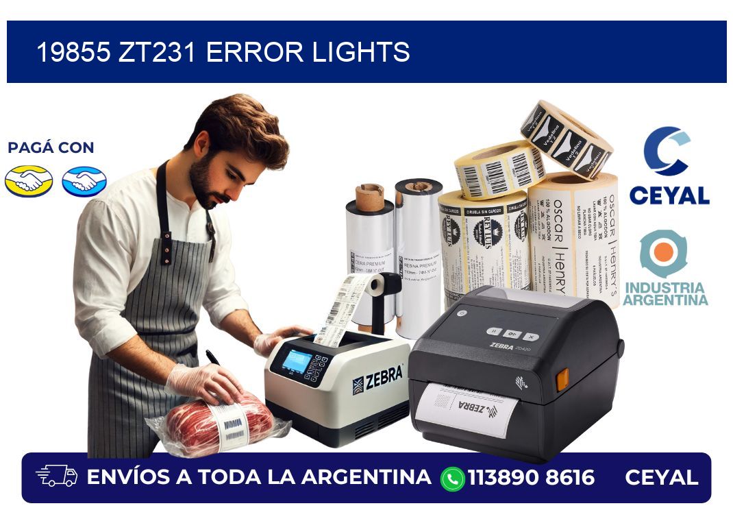 19855 ZT231 error lights