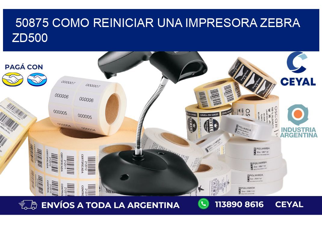 50875 Como reiniciar una impresora Zebra ZD500