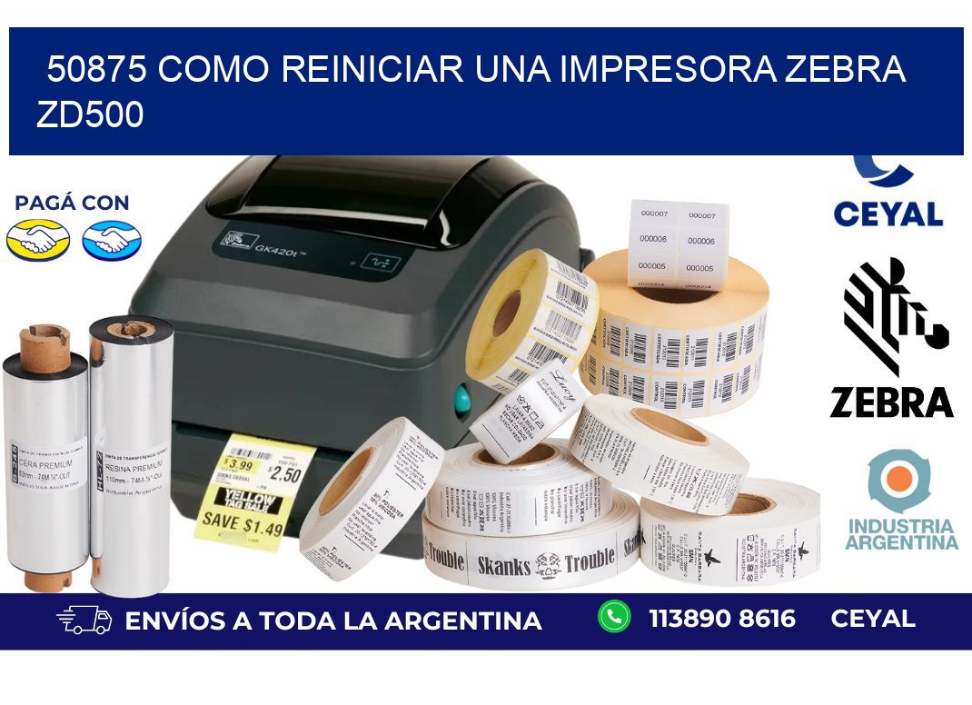 50875 Como reiniciar una impresora Zebra ZD500