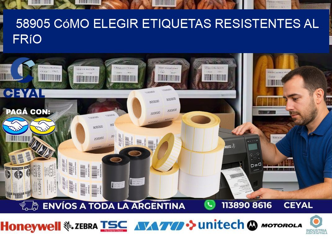58905 cómo elegir etiquetas resistentes al frío