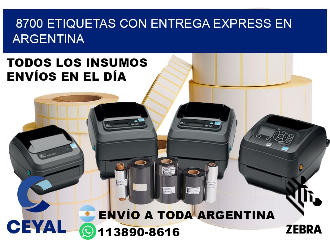 8700 Etiquetas con entrega express en Argentina