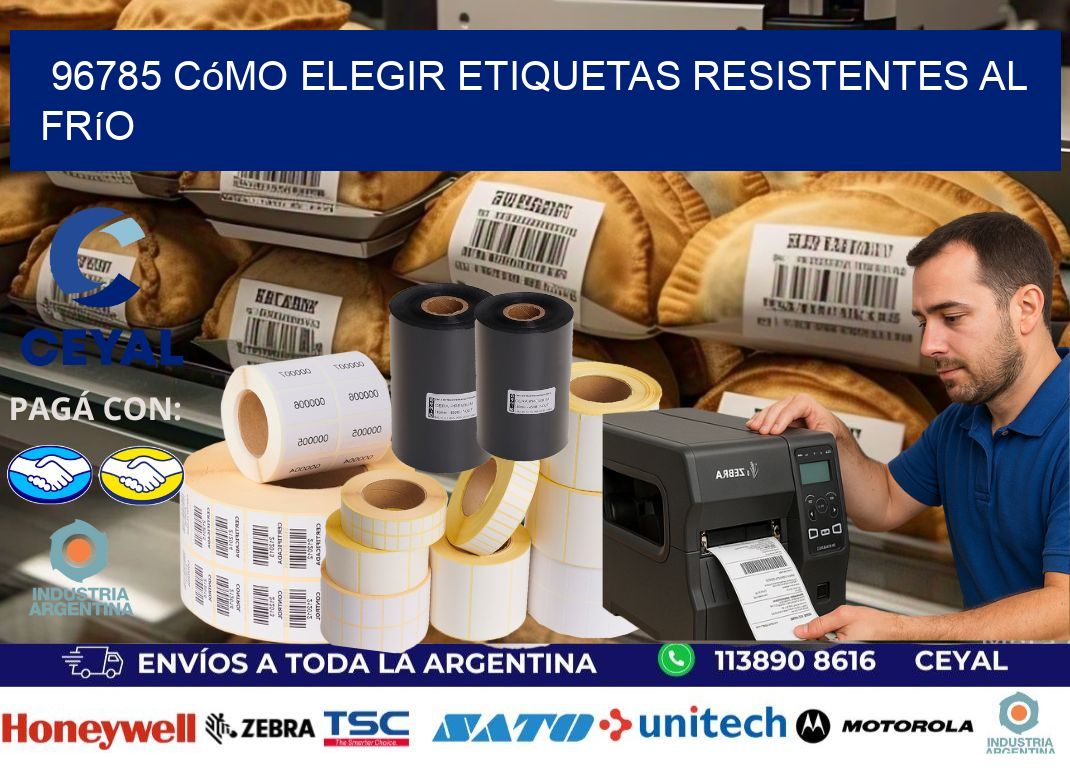 96785 cómo elegir etiquetas resistentes al frío