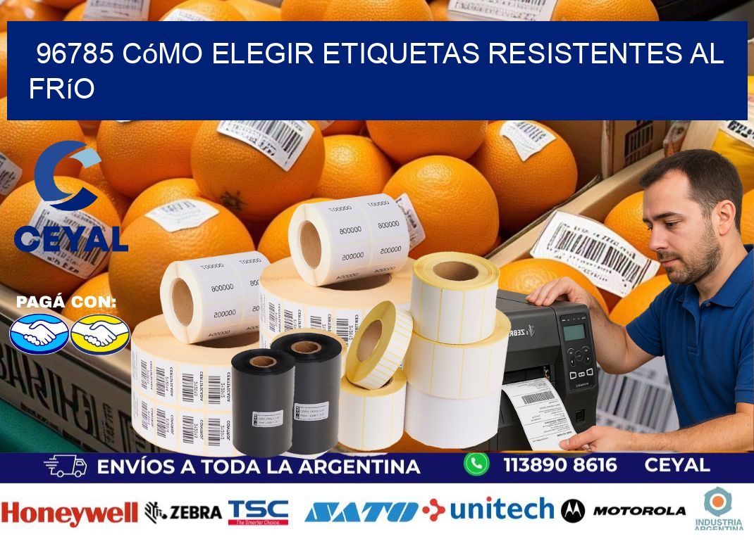 96785 cómo elegir etiquetas resistentes al frío