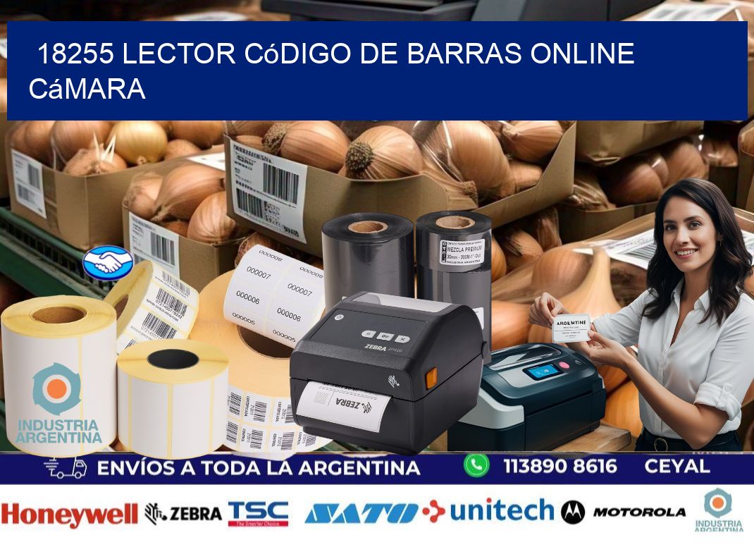 18255 Lector código de barras online cámara