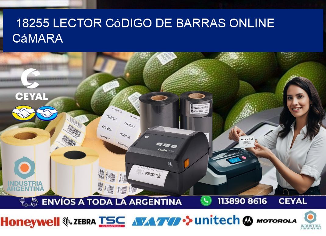 18255 Lector código de barras online cámara