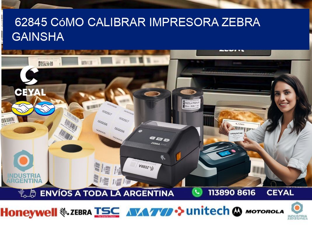 62845 cómo calibrar impresora zebra GAINSHA