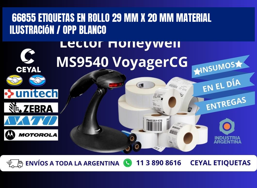 66855 Etiquetas en rollo 29 mm x 20 mm material Ilustración / OPP Blanco