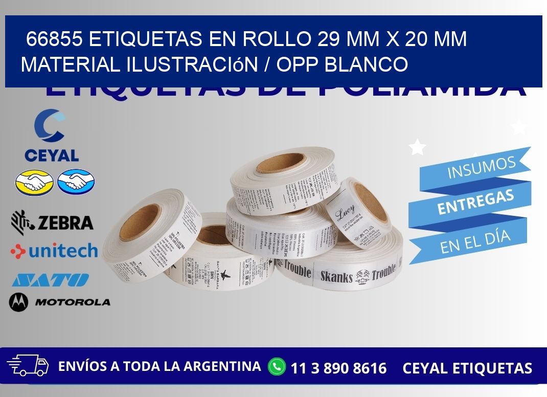 66855 Etiquetas en rollo 29 mm x 20 mm material Ilustración / OPP Blanco