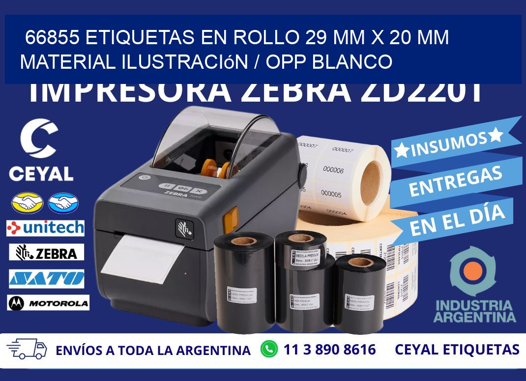 66855 Etiquetas en rollo 29 mm x 20 mm material Ilustración / OPP Blanco