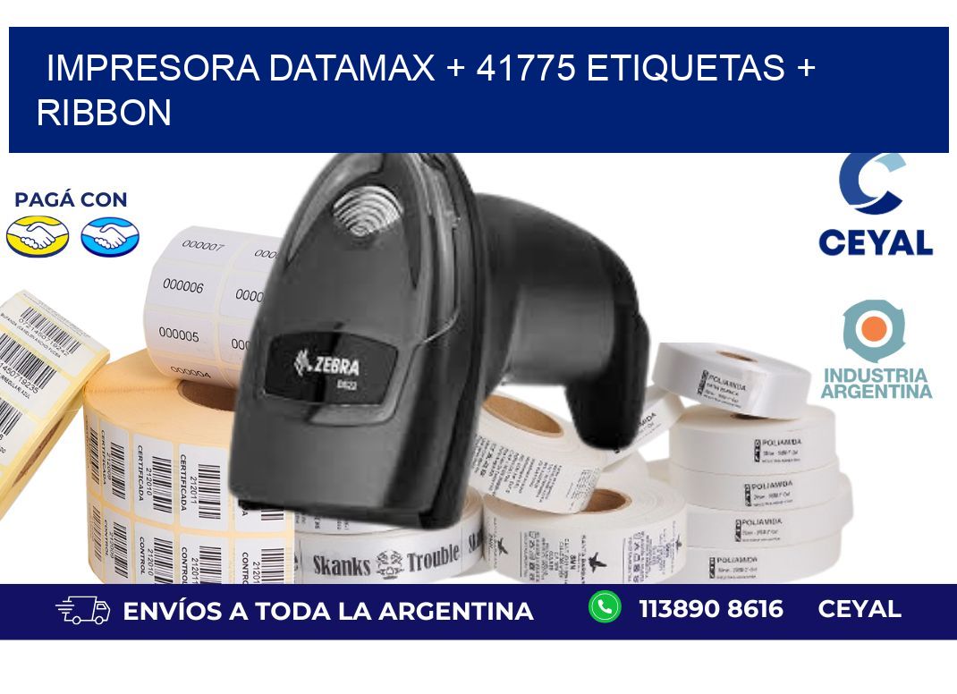 impresora DATAMAX + 41775 etiquetas + ribbon