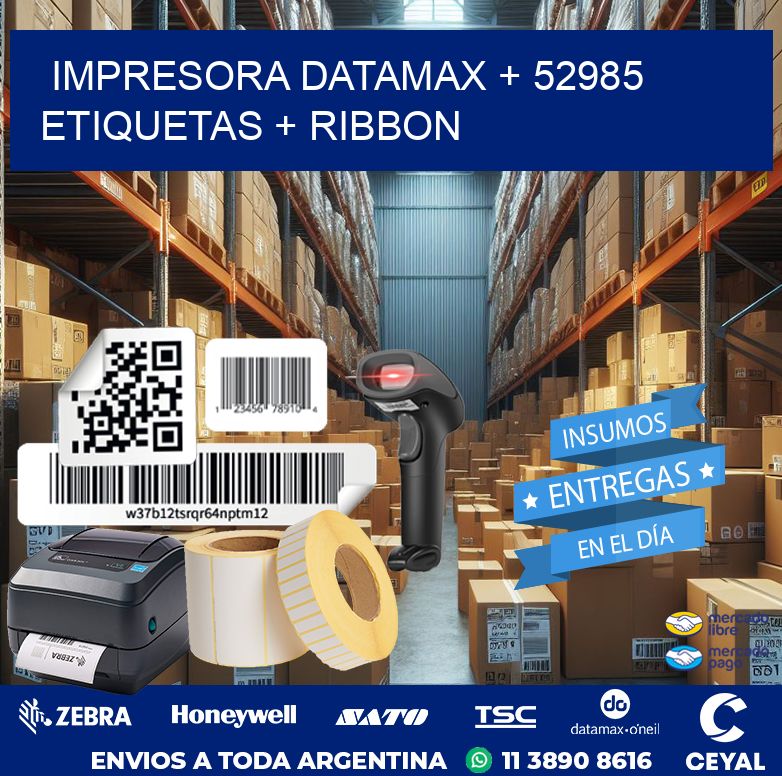 impresora DATAMAX + 52985 etiquetas + ribbon