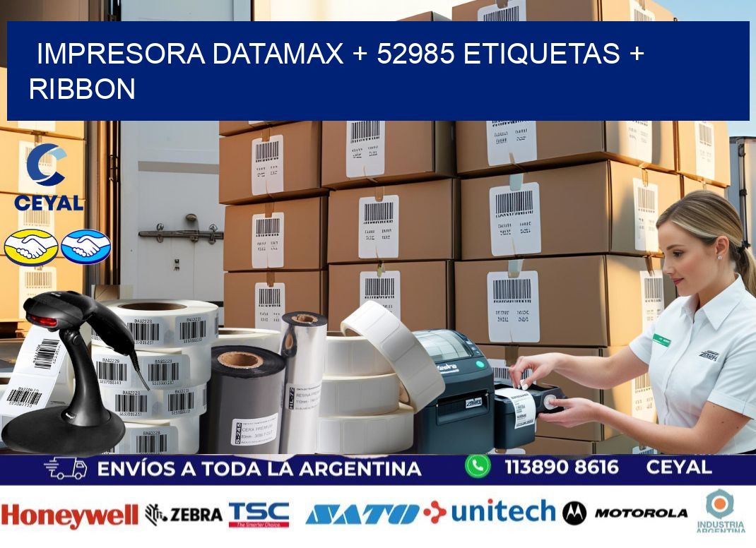 impresora DATAMAX + 52985 etiquetas + ribbon
