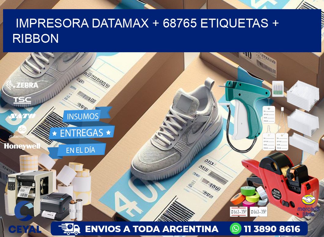 impresora DATAMAX + 68765 etiquetas + ribbon