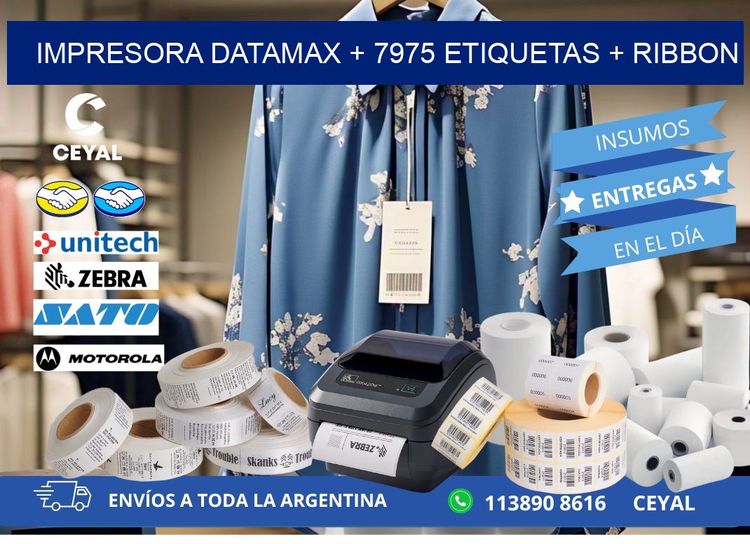 impresora DATAMAX + 7975 etiquetas + ribbon