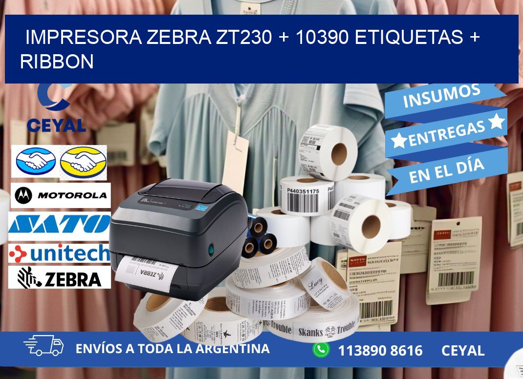 impresora zebra zt230 + 10390 etiquetas + ribbon