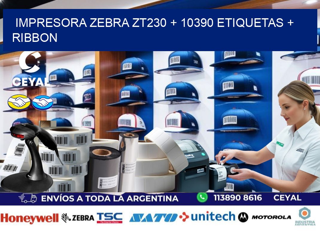impresora zebra zt230 + 10390 etiquetas + ribbon
