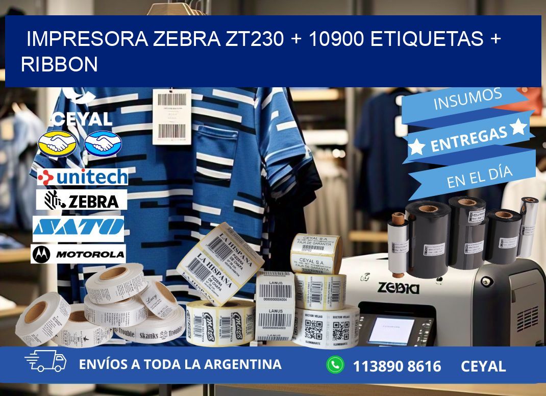 impresora zebra zt230 + 10900 etiquetas + ribbon