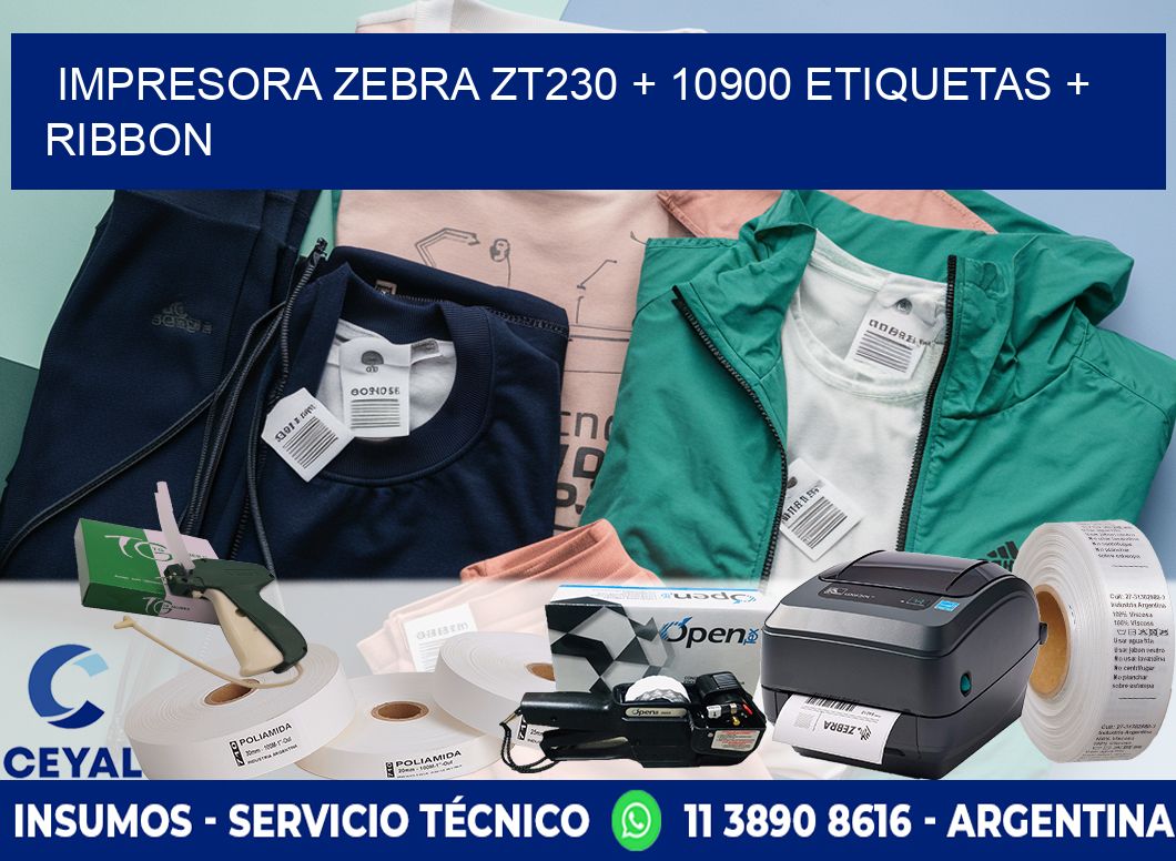 impresora zebra zt230 + 10900 etiquetas + ribbon