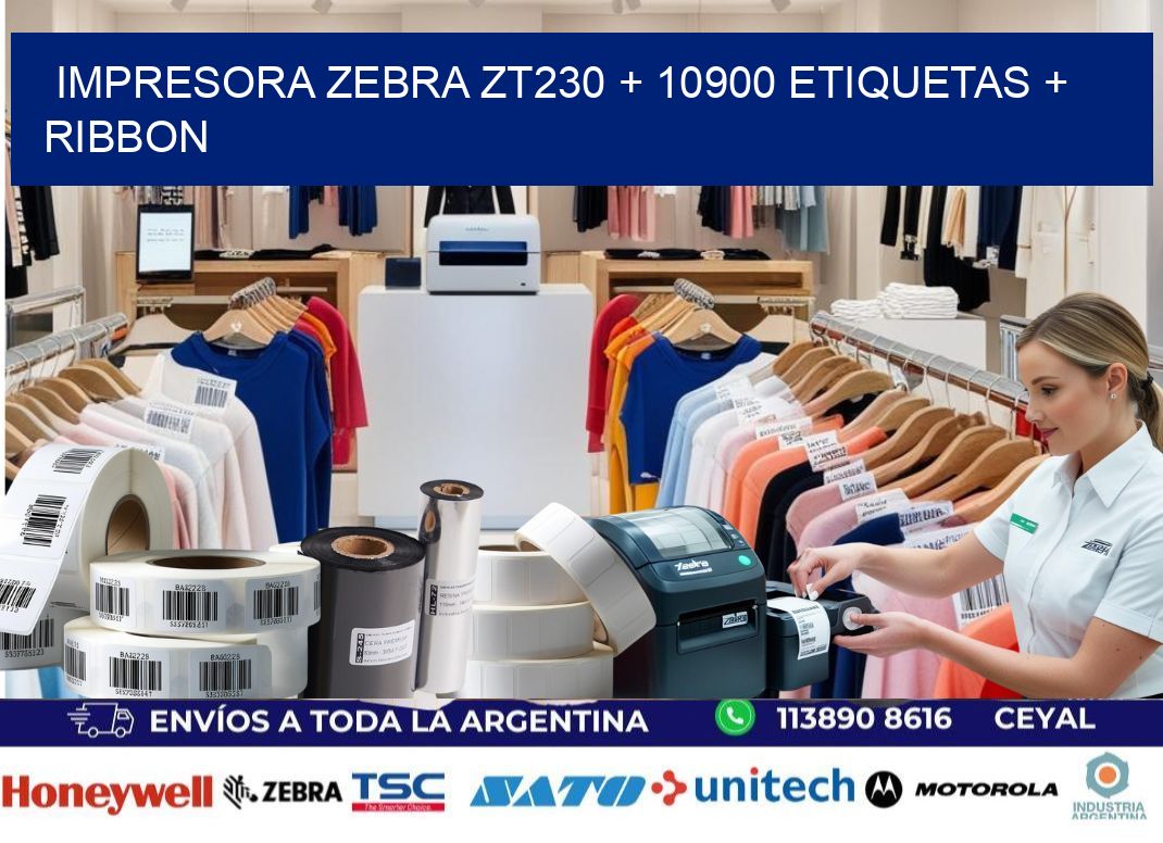 impresora zebra zt230 + 10900 etiquetas + ribbon