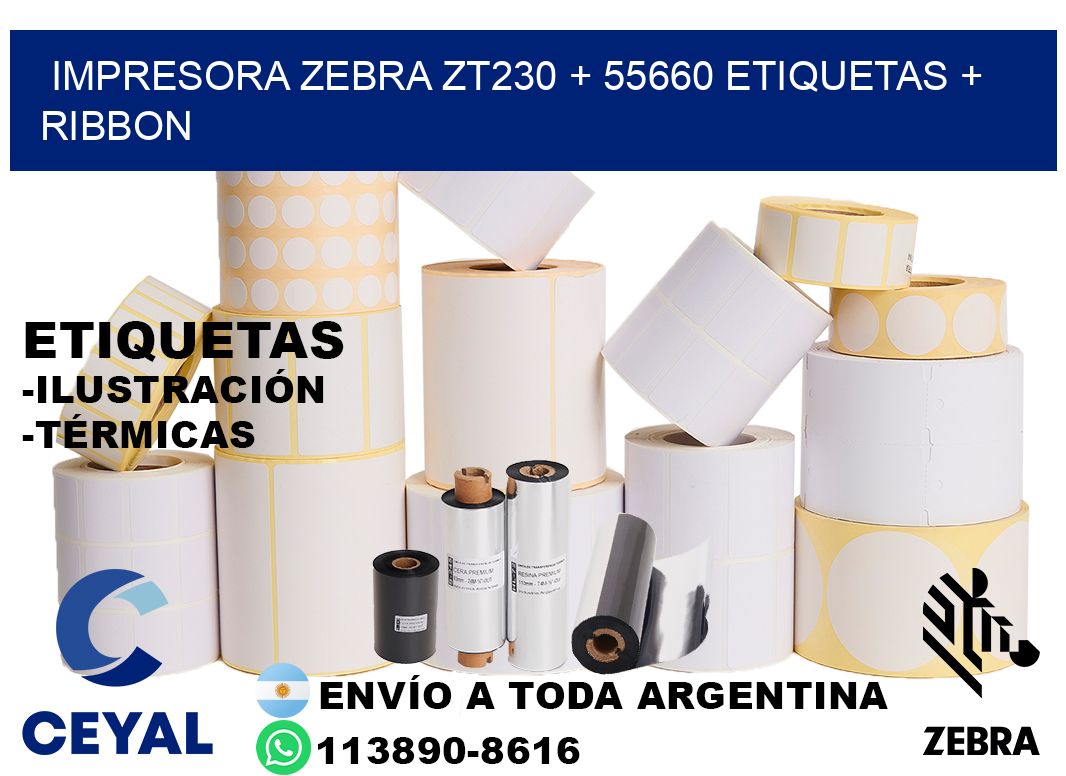 impresora zebra zt230 + 55660 etiquetas + ribbon