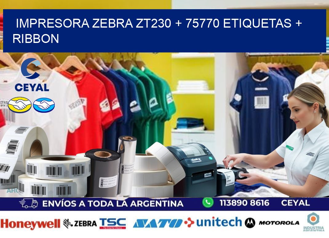 impresora zebra zt230 + 75770 etiquetas + ribbon