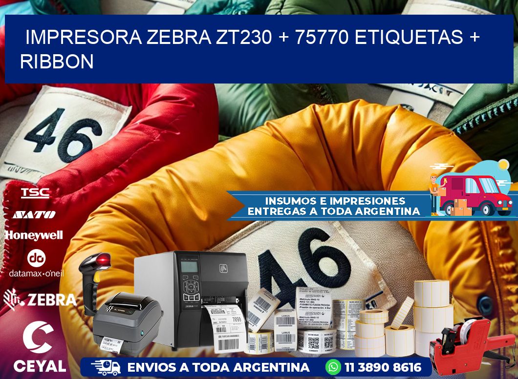impresora zebra zt230 + 75770 etiquetas + ribbon