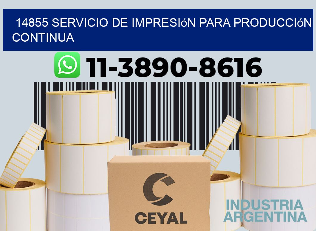 14855 Servicio de impresión para producción continua