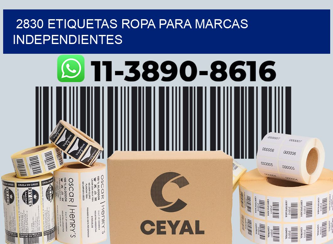 2830 Etiquetas ropa para marcas independientes