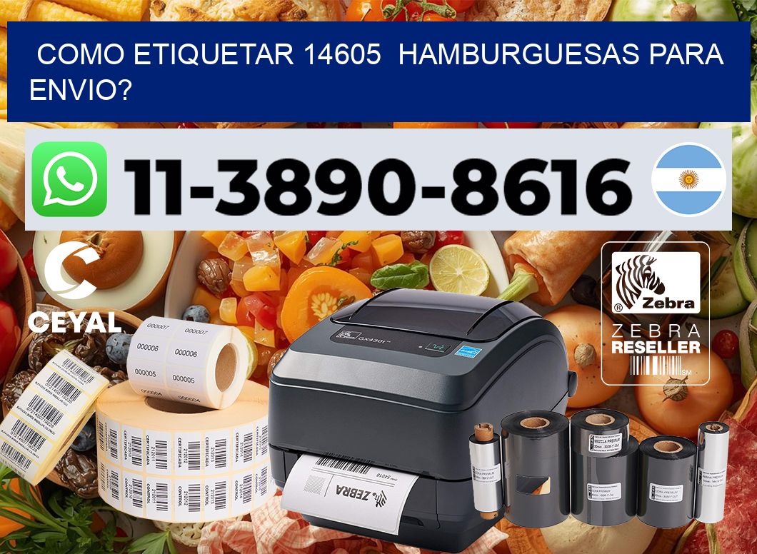 como etiquetar 14605  hamburguesas para envio?