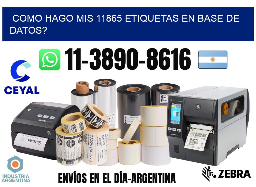 como hago mis 11865 etiquetas en base de datos?