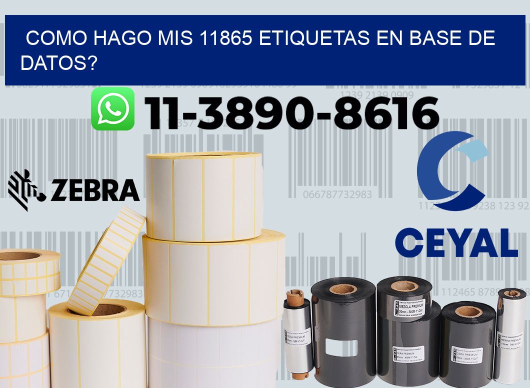 como hago mis 11865 etiquetas en base de datos?