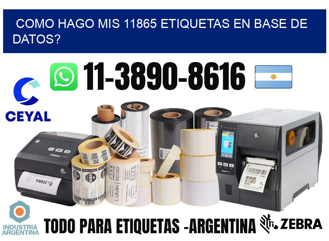 como hago mis 11865 etiquetas en base de datos?