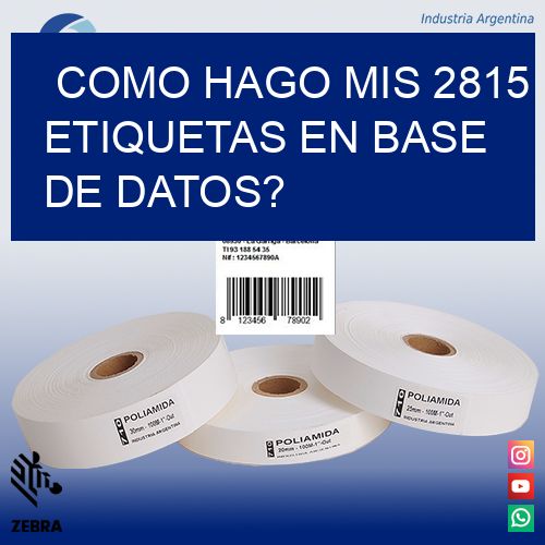 como hago mis 2815 etiquetas en base de datos?