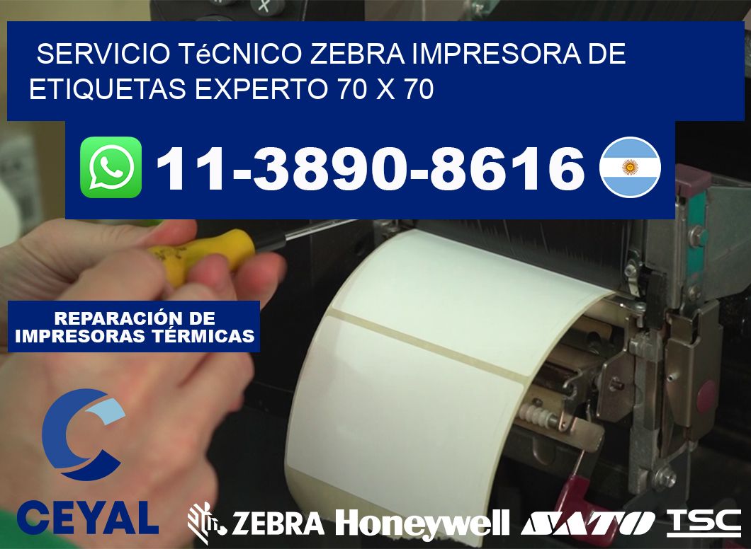 Servicio Técnico Zebra Impresora de Etiquetas Experto 70 x 70