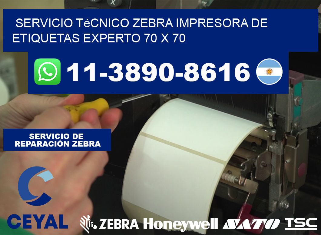 Servicio Técnico Zebra Impresora de Etiquetas Experto 70 x 70