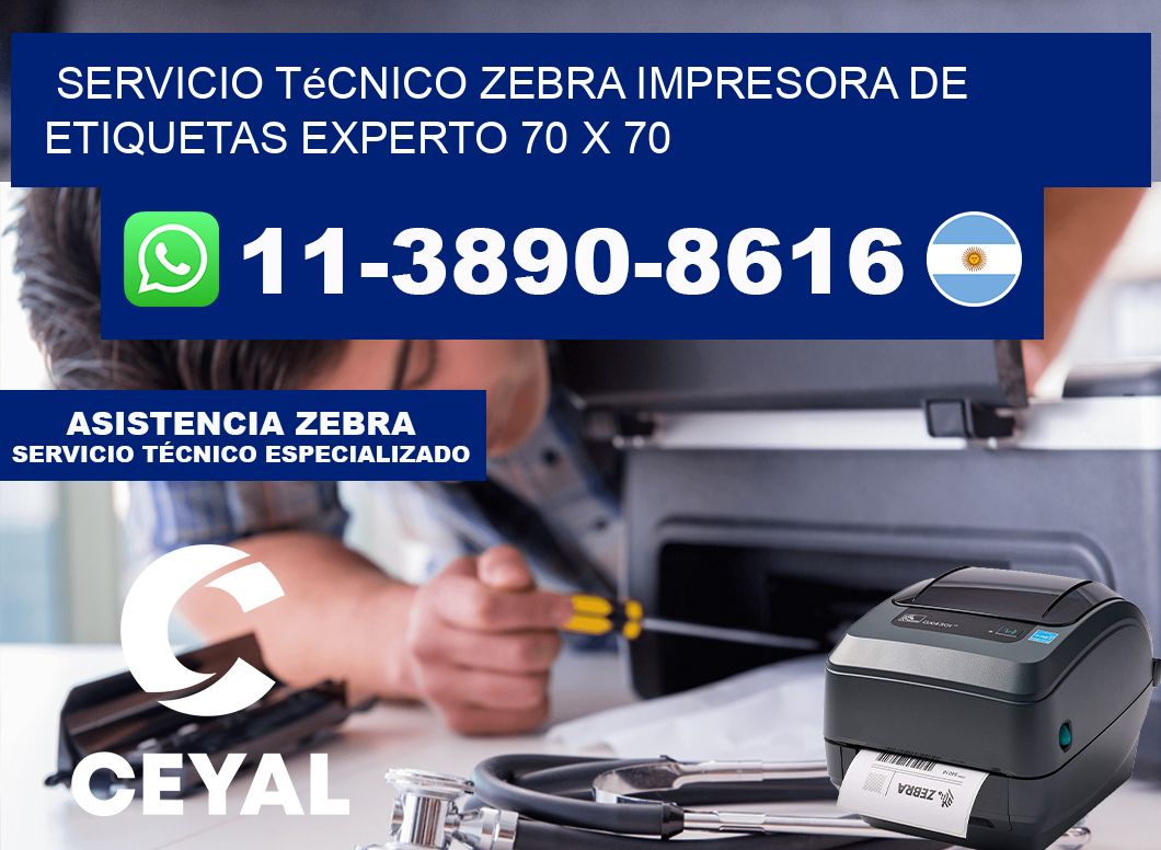 Servicio Técnico Zebra Impresora de Etiquetas Experto 70 x 70