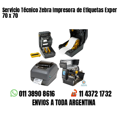 Servicio Técnico Zebra Impresora de Etiquetas Experto 70 x 70