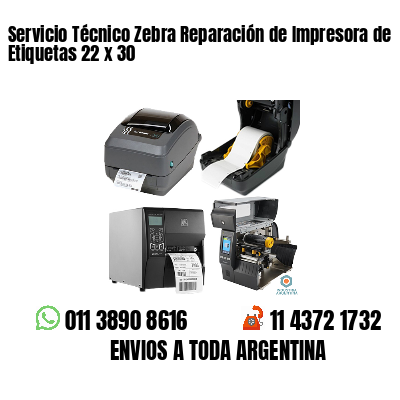 Servicio Técnico Zebra Reparación de Impresora de Etiquetas 22 x 30