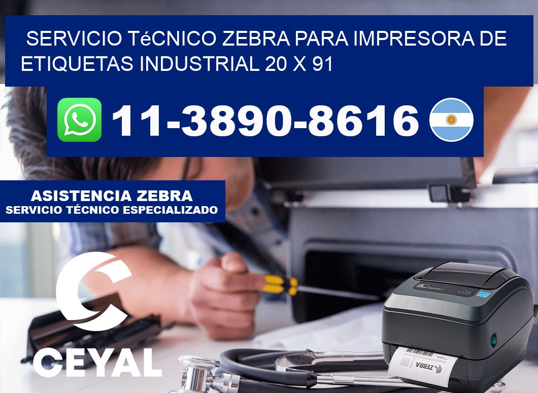Servicio Técnico Zebra para Impresora de Etiquetas Industrial 20 x 91