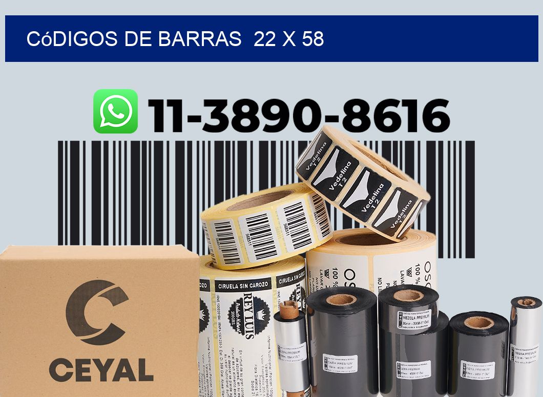 códigos de barras  22 x 58