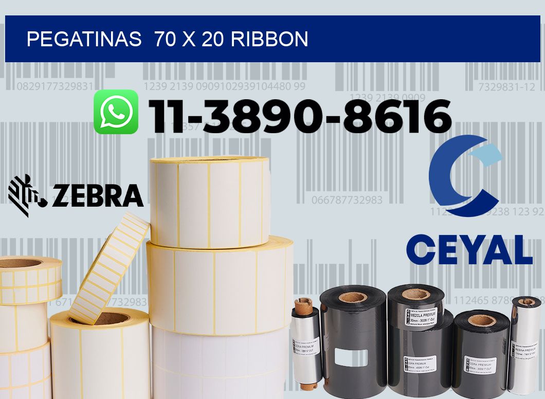 pegatinas  70 x 20 ribbon