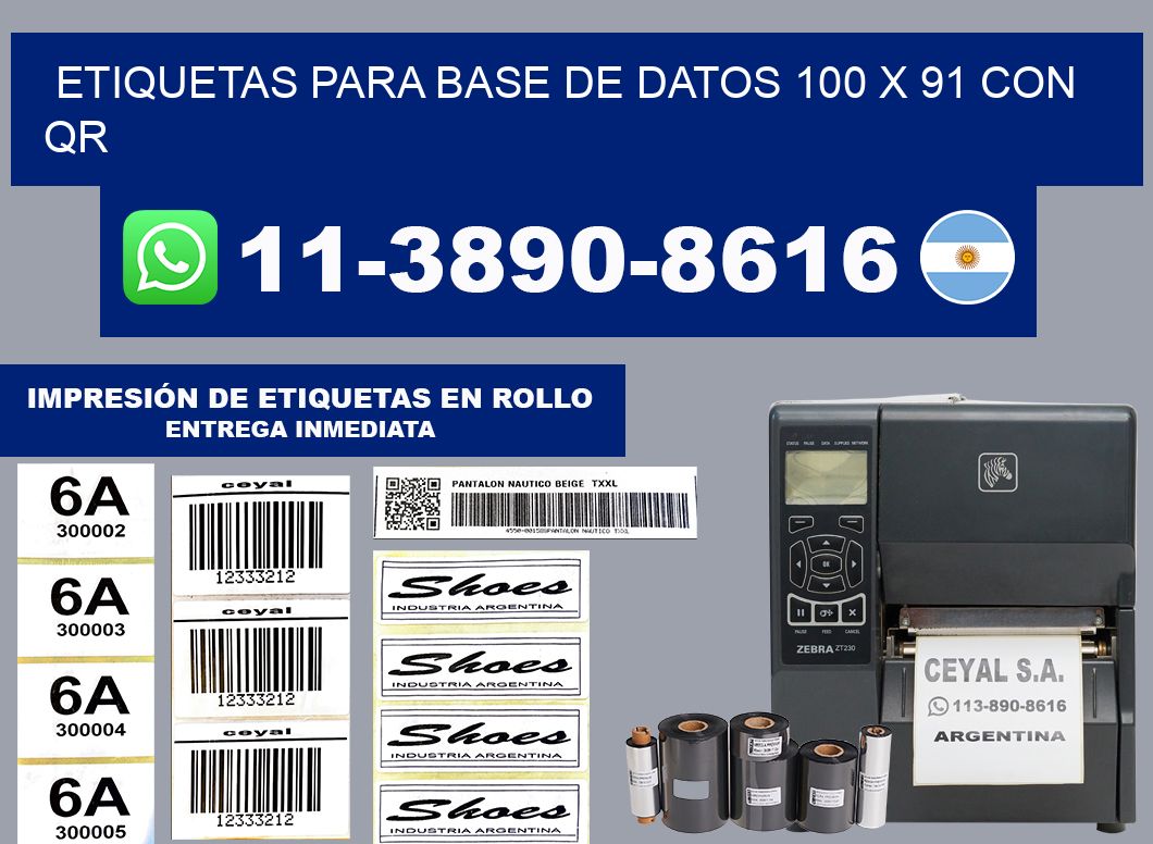 etiquetas para base de datos 100 x 91 con QR