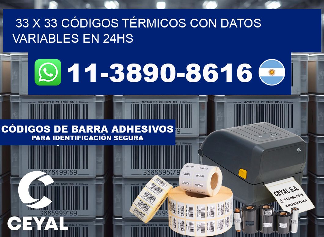 33 x 33 CÓDIGOS TÉRMICOS CON DATOS VARIABLES EN 24HS