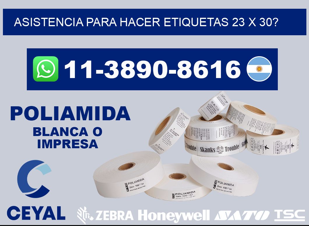 asistencia para hacer etiquetas 23 x 30?